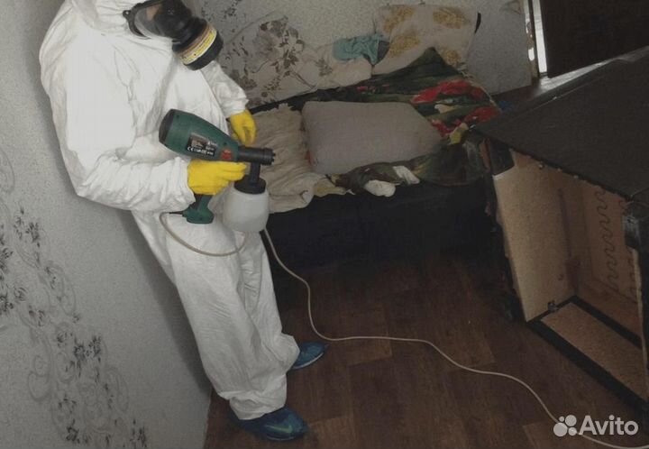 Уничтожение клопов тараканов клещей