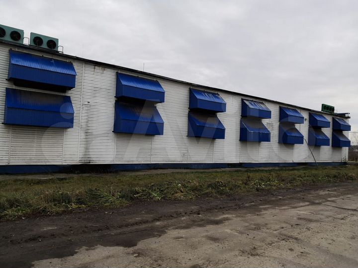 Складское помещение, 12000 м²