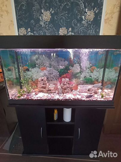 Аквариум с тумбой