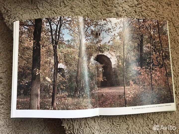 Книга на французском языке