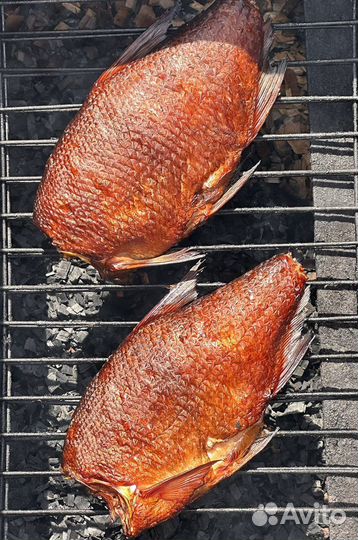 Коптильня горячая для рыбы