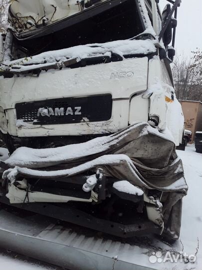 КамАЗ 5490 NEO, 2018