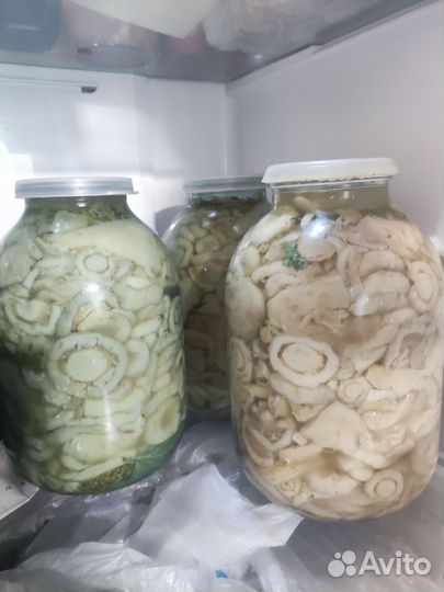 Грибы соленые