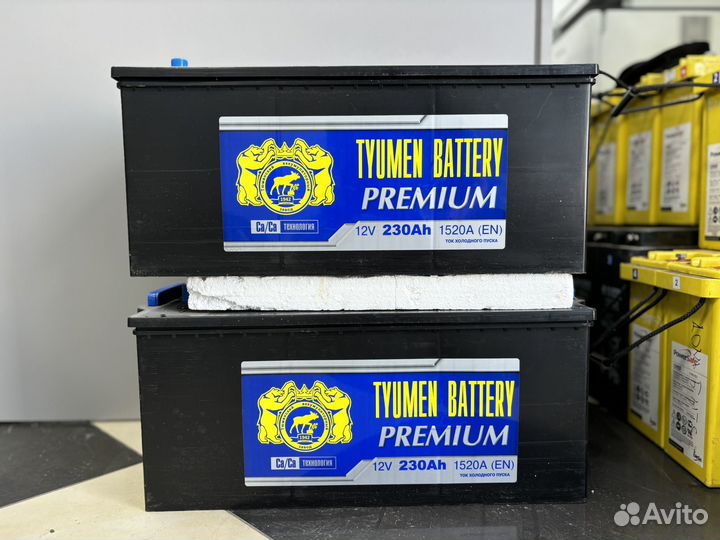 Аккумулятор Тюмень Лось Tyumen 220,225,230Ач О/П
