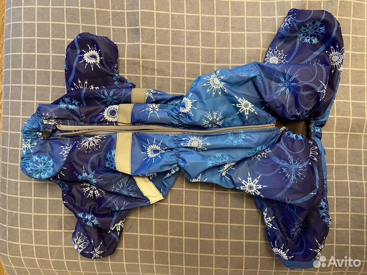 Одежда для собак