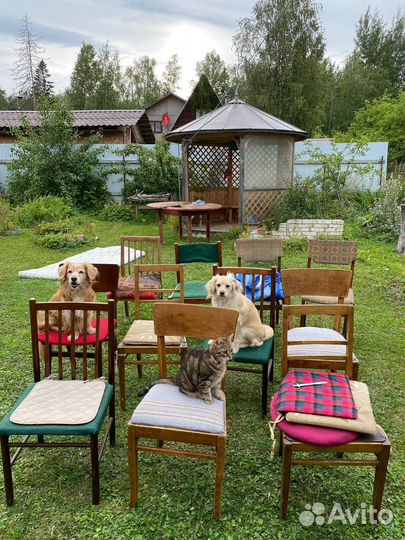 Стул деревянный советский