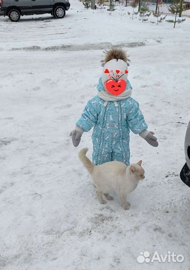 Зимний комбинезон
