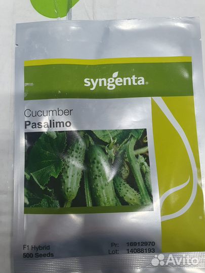 Семена огурец Пасалимо 500с Сингента