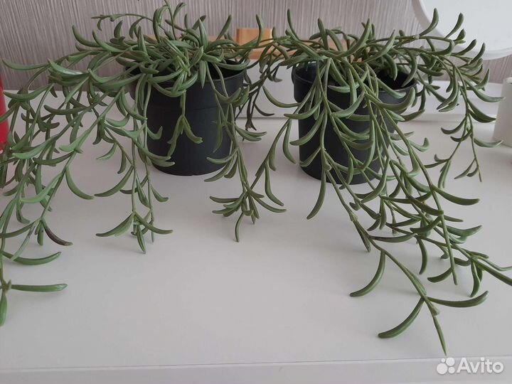 Искусственные цветы IKEA