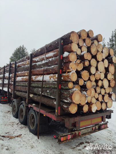 Пиловочник Деловой Круглый лес