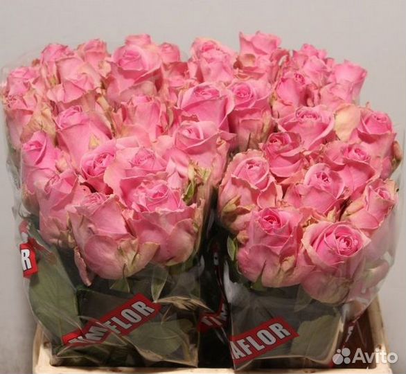 Букет из роз Wham 60 см