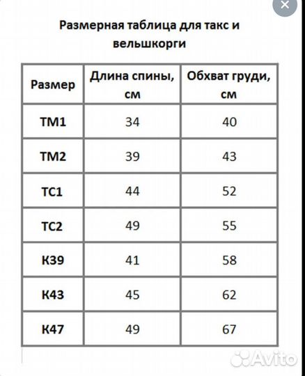 Комбинезон для таксы мальчика