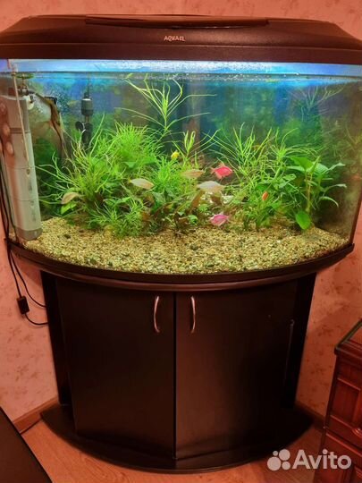 Аквариум 180 л с тумбой, Акваэль