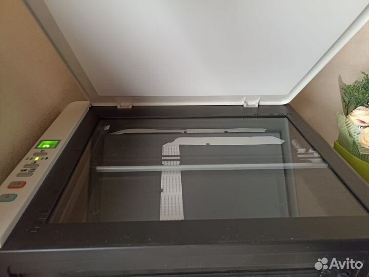 Мфу ricoh Aficio SP 100SU ddst