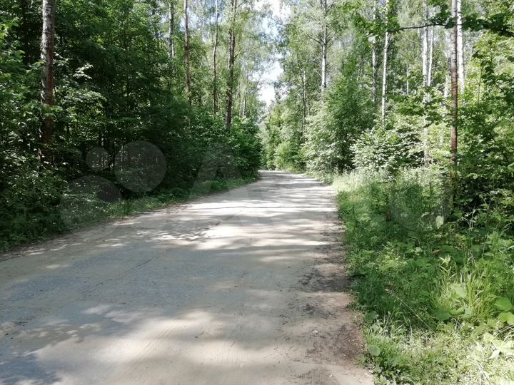 Участок 12 сот. (СНТ, ДНП)