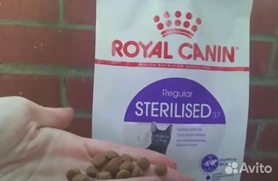 Kорм для кошек royal canin Royal canin regular ste