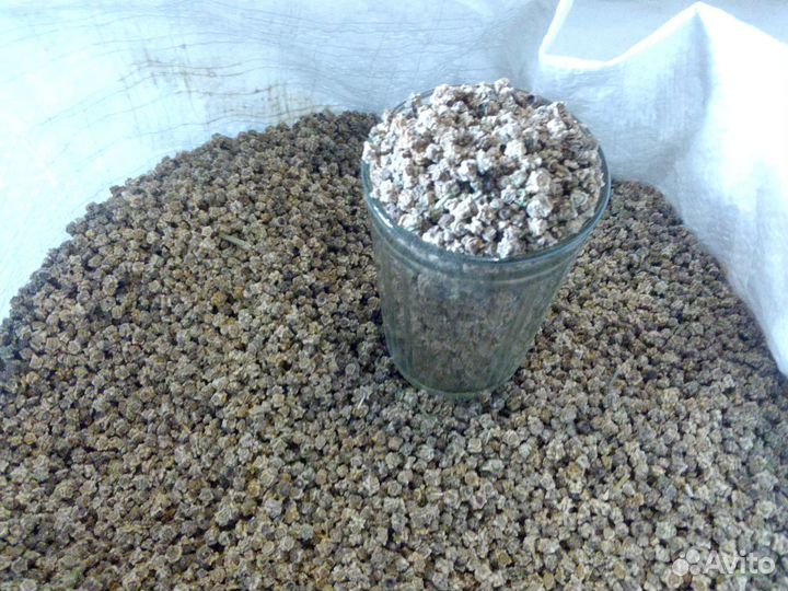 Семена кормовой свеклы