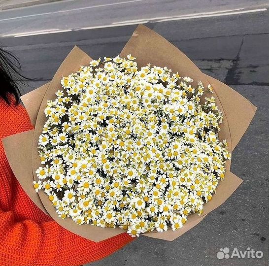Цветы ромашки. Букеты ромашек. Цветы доставка