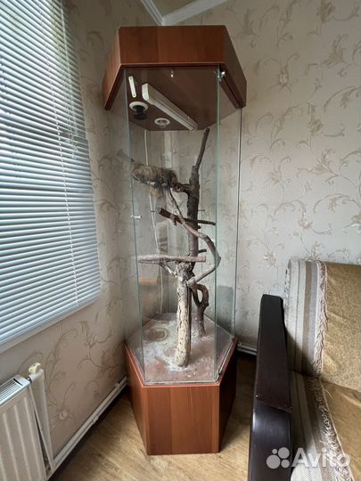 Террариум для рептилий