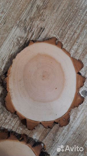 Спилы ивы шлифованные