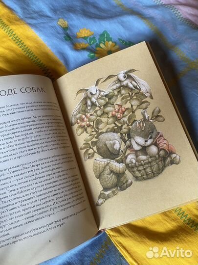 В сонном-сонном лесу. Сказки для засыпания