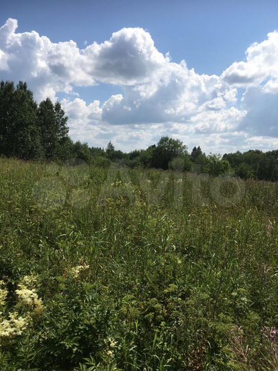 Участок 20 сот. (ИЖС)