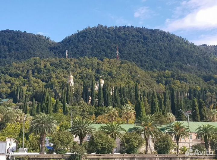 Поездка в р. Абхазию на 5 ночей