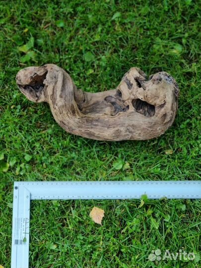 Коряги для аквариума дрифтвуд