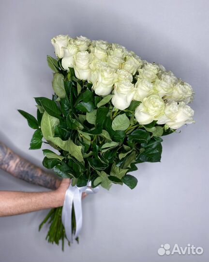 Розы Эквадор