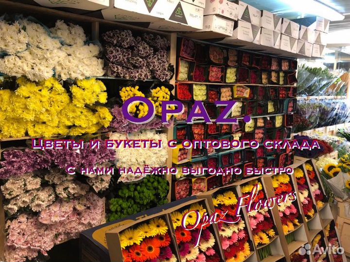 Розы Цветы Букеты Доставка 101 роза 51 роза 25 роз