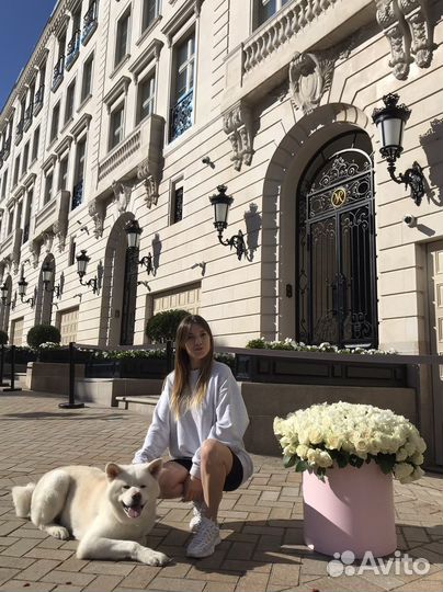 Передержка собак /догситтер