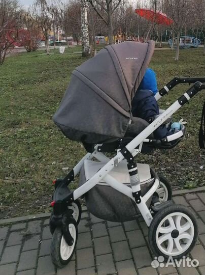 Коляска riko bruno ecco 2 в 1