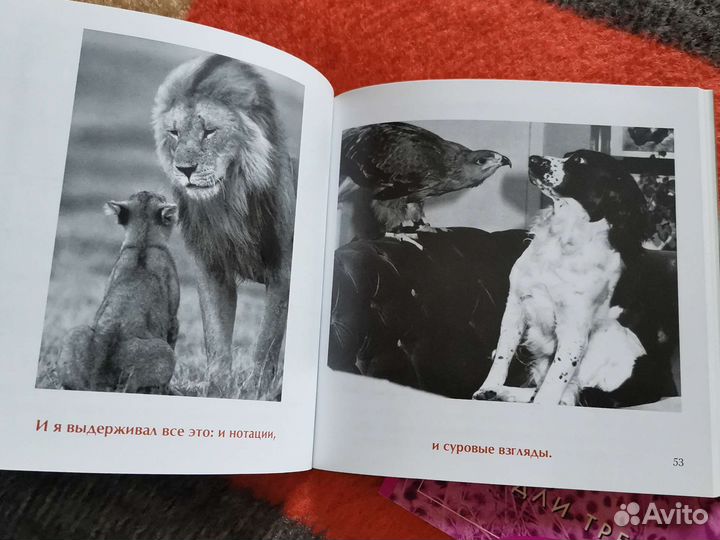 Бредли Тревор Грив - Мамочка, Папочка