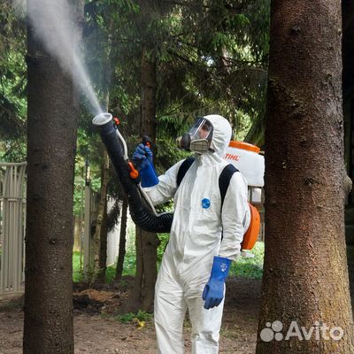 Уничтожение тараканов, клопов, кротов, клещей и ос