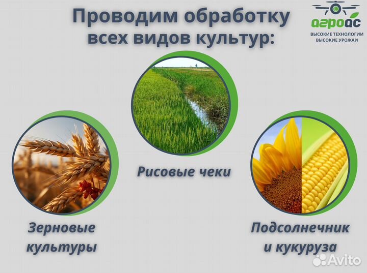 Самоходный опрыскиватель/ Агродрон DJI Agras