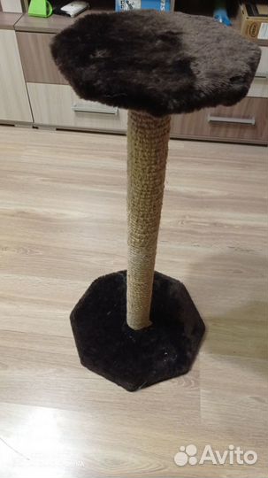 Когтеточка