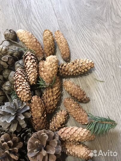Набор для декора, поделок. Шишки