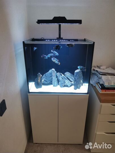 Аквариум с камнями тумбой лампой