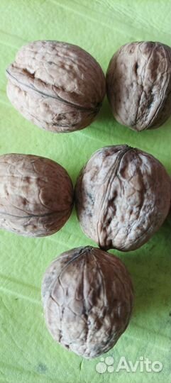 Грецкий орех в скорлупе