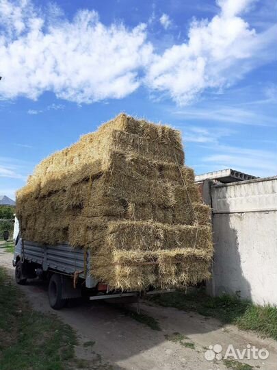 Солома, сено в рулонах