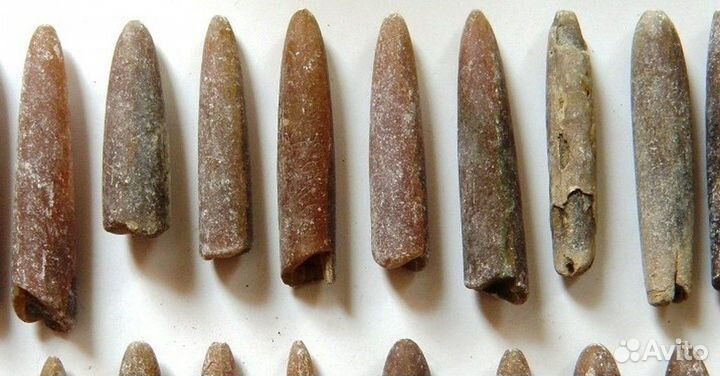 Чертов палец - Белемниты