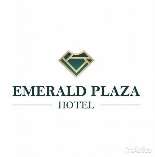 Ищу инвестора доход 500 тр