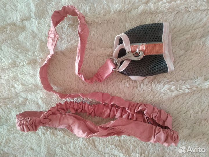 Шлейки для хорька