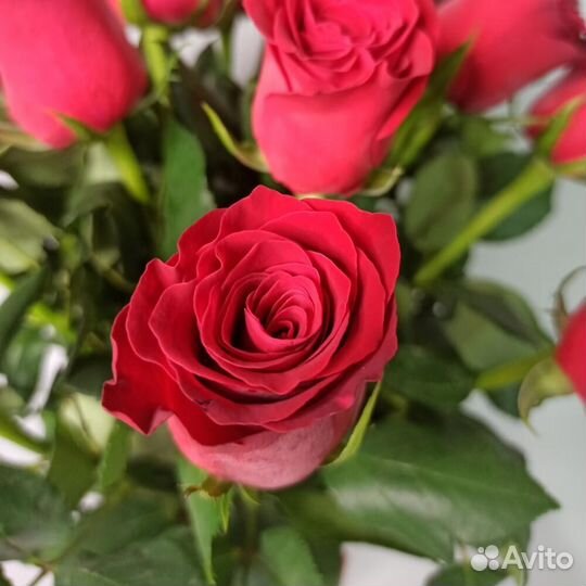 Цветы розы Букет 15 роз