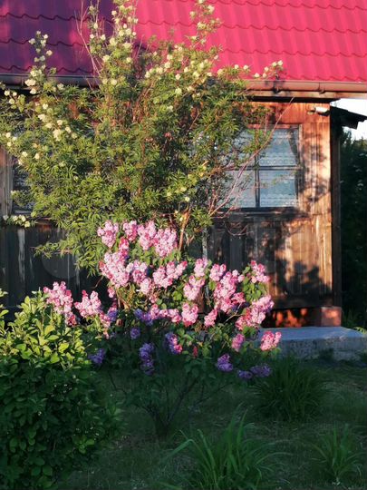 Дача 115 м² на участке 18 сот.