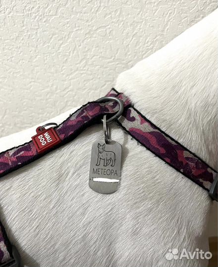 Адресник-жетон для собак