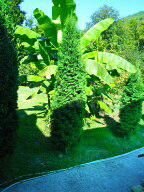 Комната 34 м², 1/2 эт.