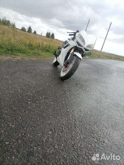 Falcon SpeedFire 250