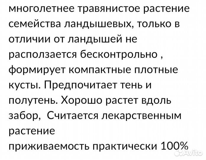 Купена. Садовый ландыш.Хоста