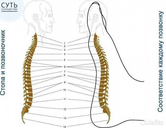 Коррекция атланта
